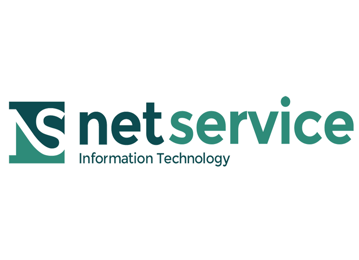 Net service logo
